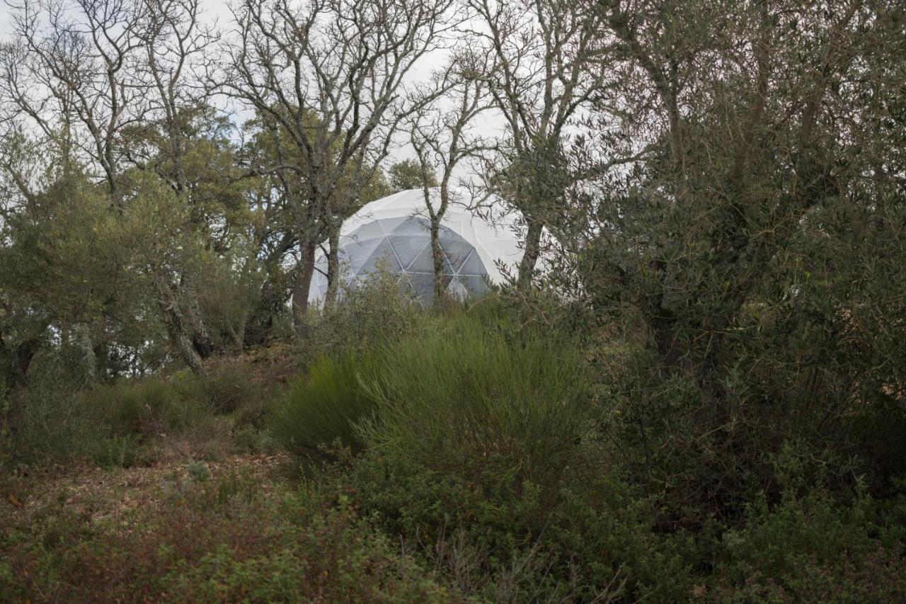 Alojamiento Rural Camino Beturia Cabeza la Vaca Exteriér fotografie