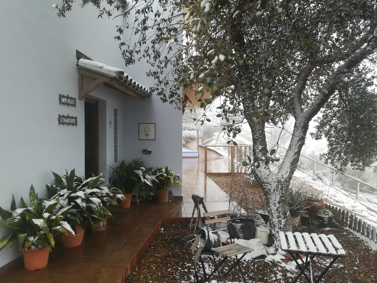 Alojamiento Rural Camino Beturia Cabeza la Vaca Exteriér fotografie